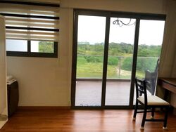 Springside Road (D26), Terrace #483616821